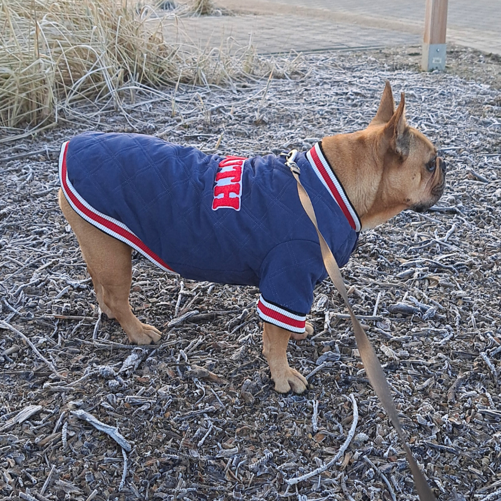 Pepsi w kurtce Barry King