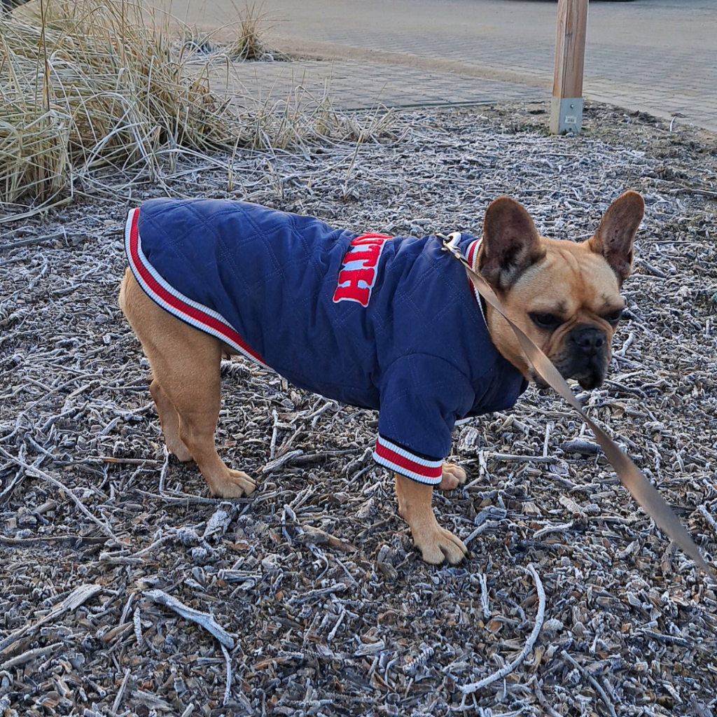 Pepsi w kurtce Barry King