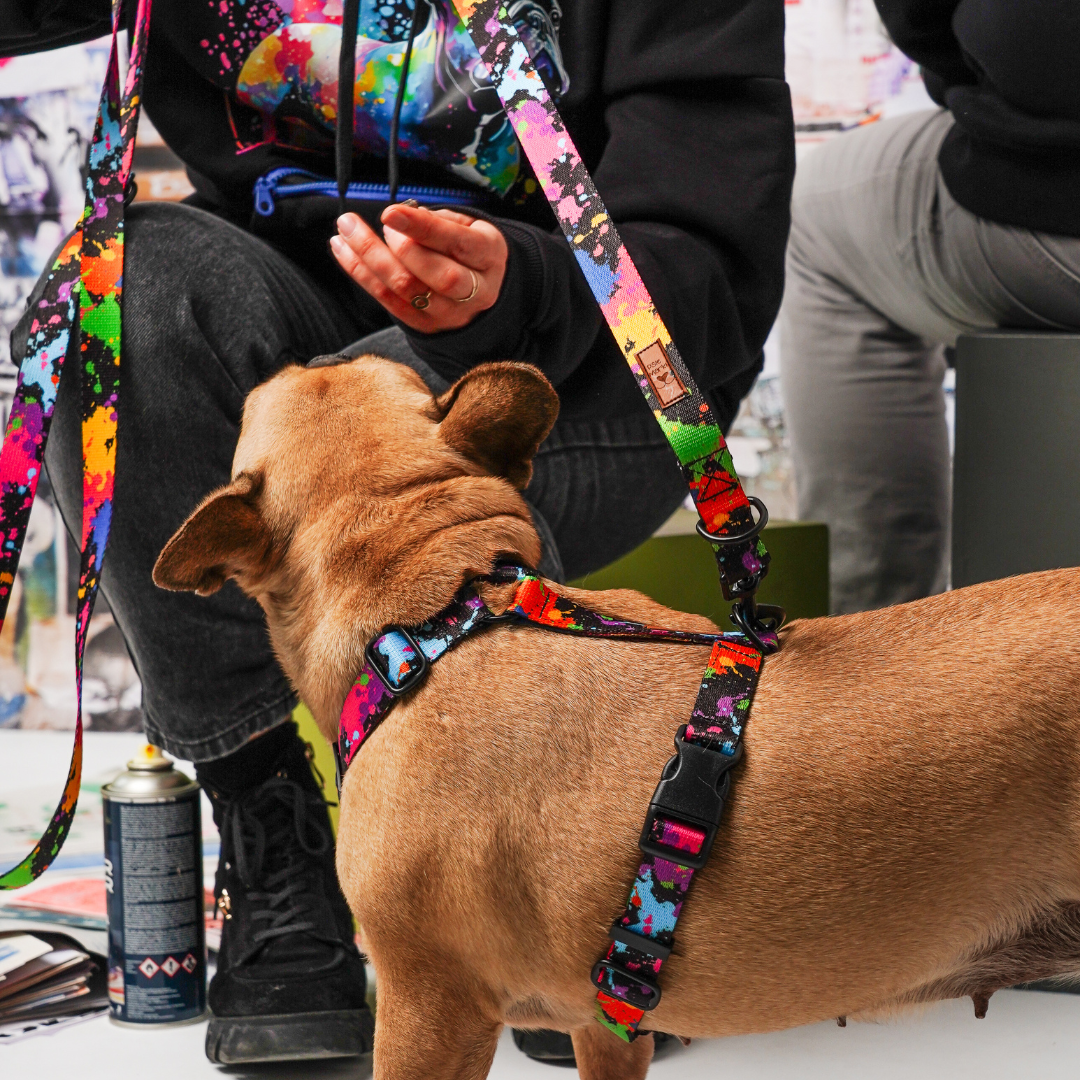 Kolekcja kleksy farby