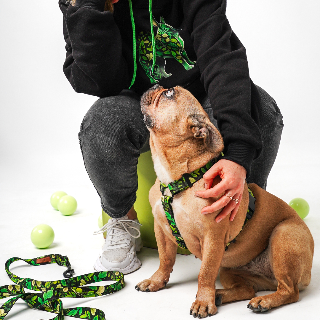 Kolekcja zielone liście