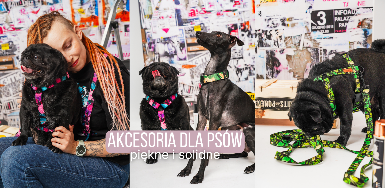 slider psie akcesoria